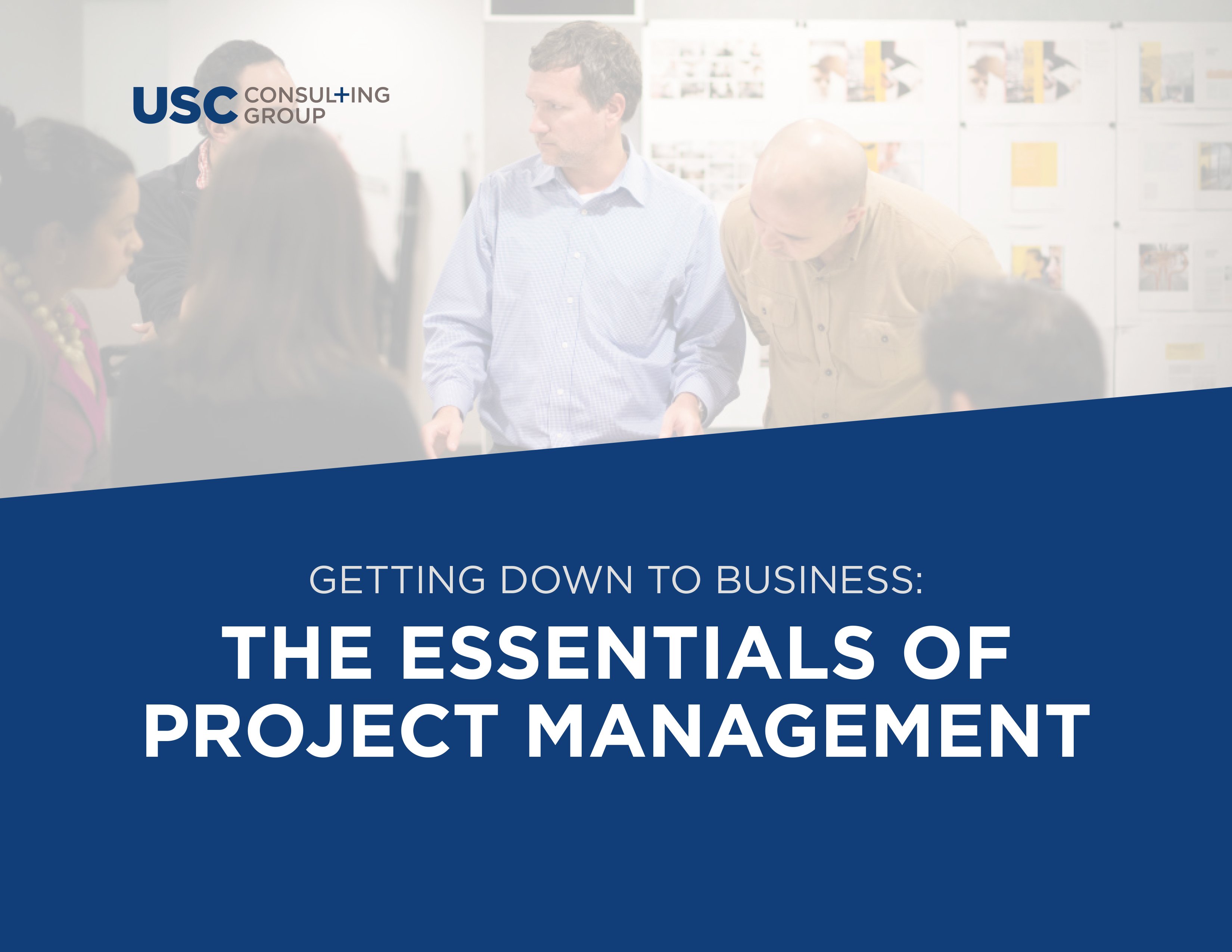 Project Management eBook Cover