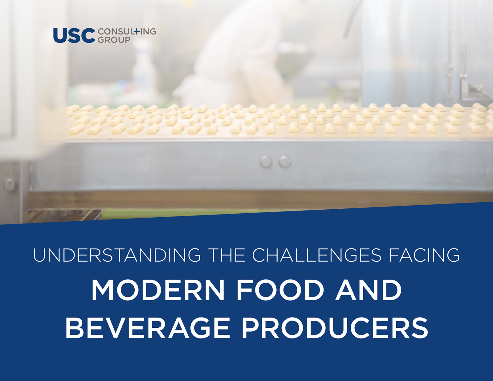 Modern Food and Beverage Challenges eBook Cover